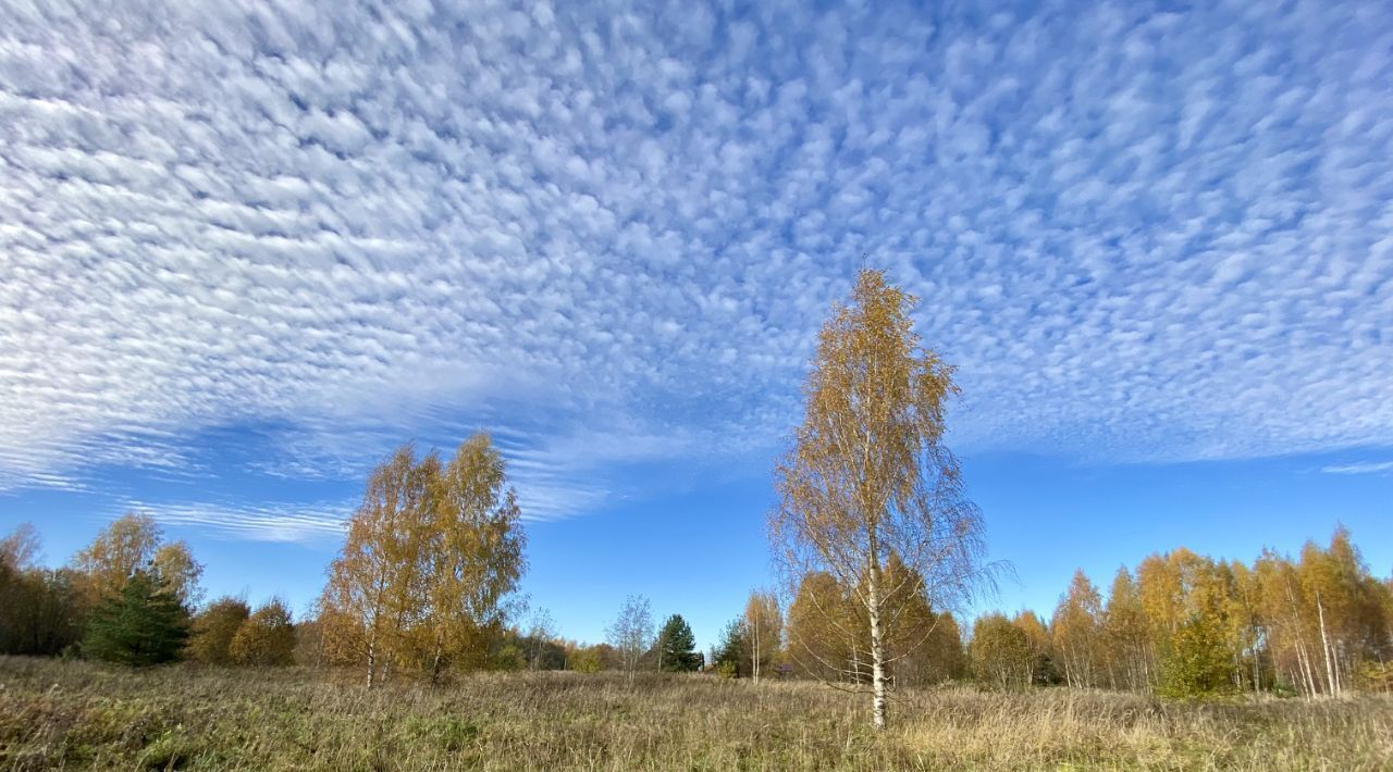 земля р-н Гдовский г Гдов фото 6