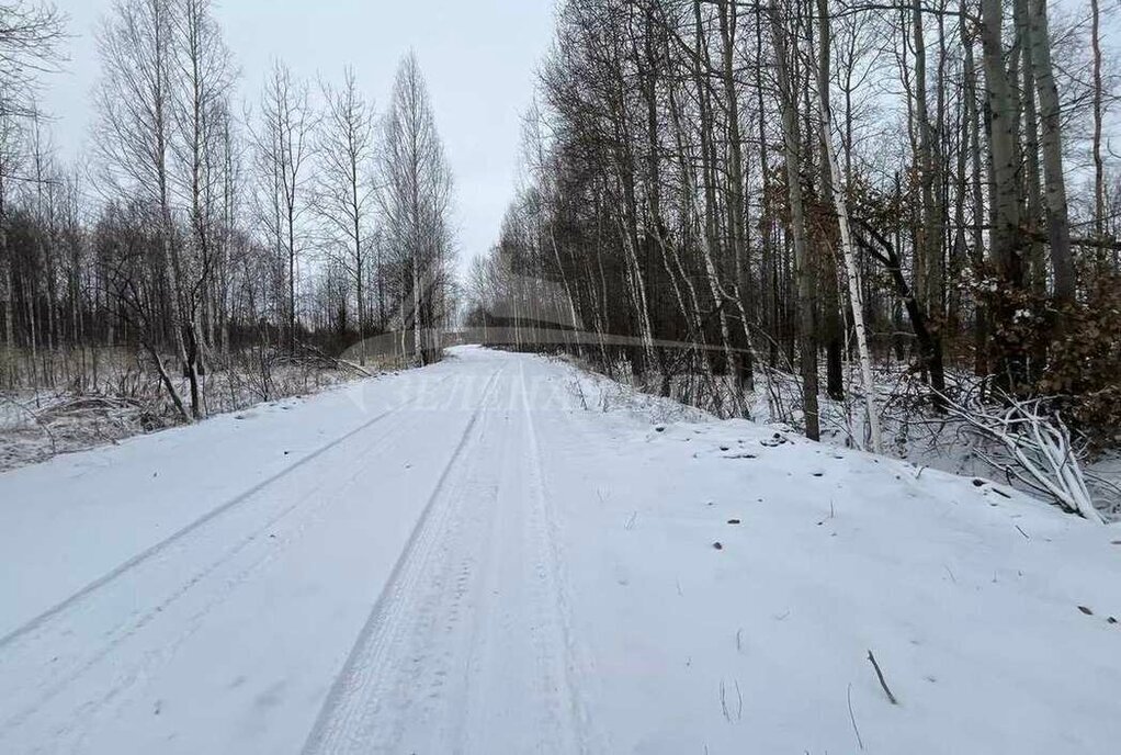 земля р-н Тюменский с Каскара фото 4