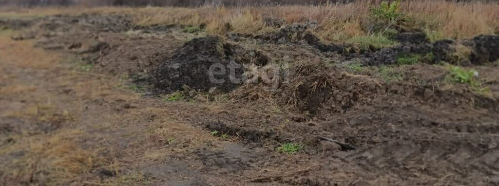 земля р-н Ирбитский д Дубская ул Центральная фото 2