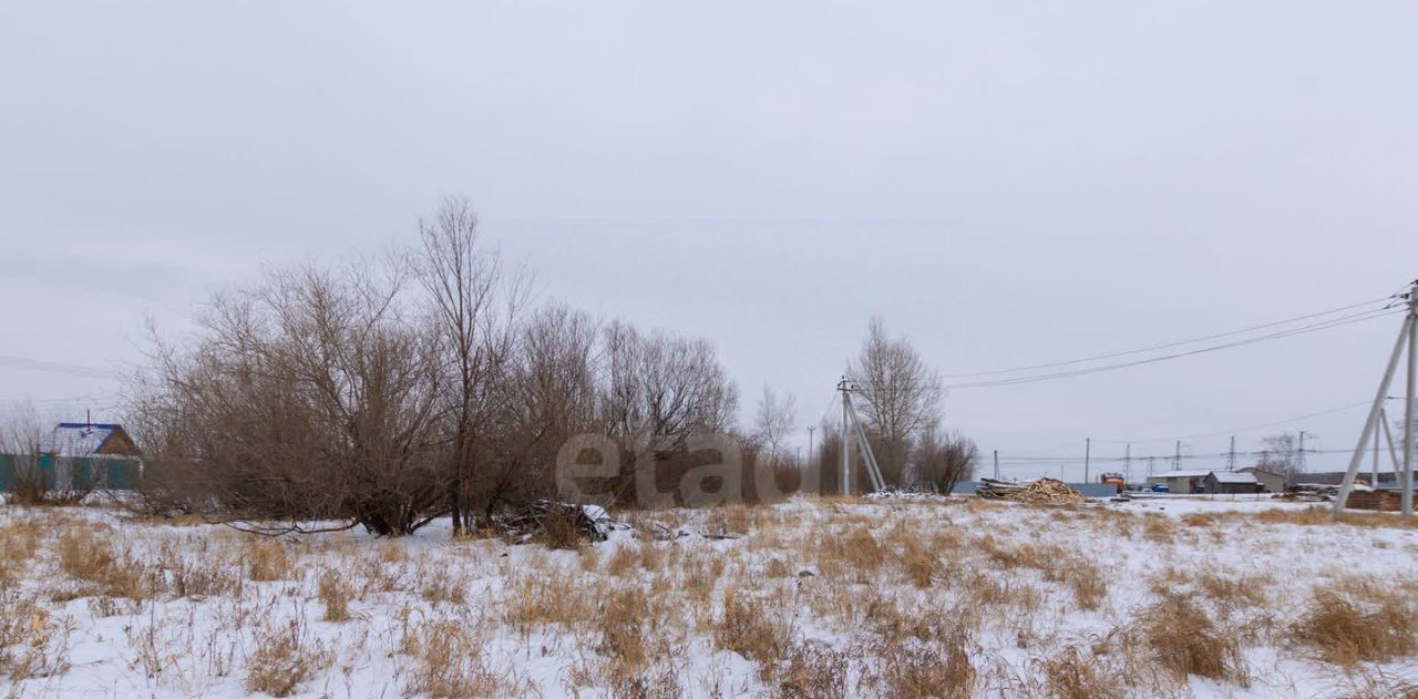 земля р-н Тюменский с Борки ул Луговая фото 14