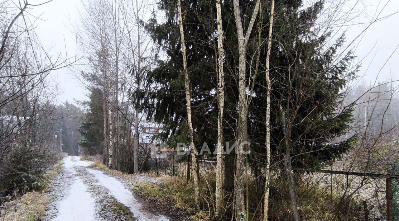 земля р-н Всеволожский массив Белоостров снт Заря-4 Сертоловское городское поселение, луч 7-й, 207 фото 7