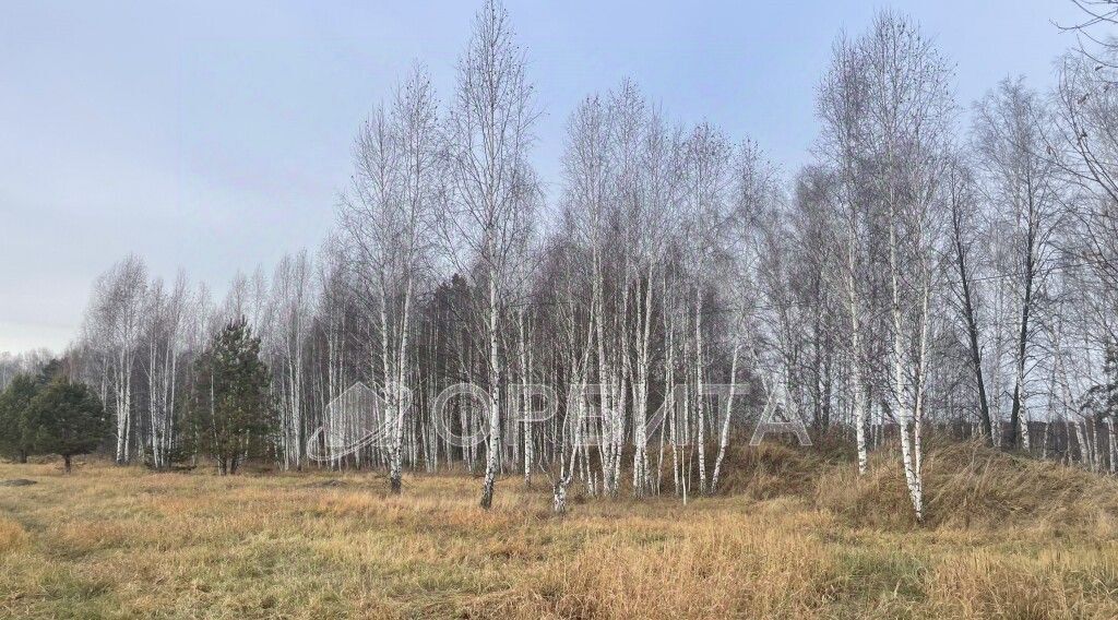 земля р-н Нижнетавдинский снт Геолог-2 фото 10