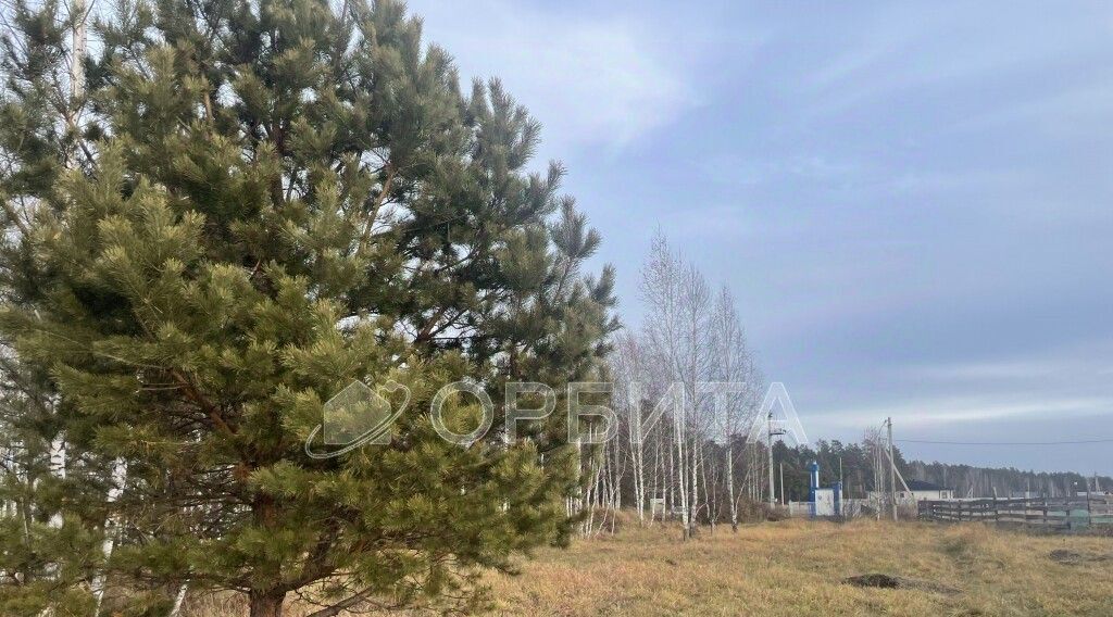 земля р-н Нижнетавдинский снт Геолог-2 фото 23