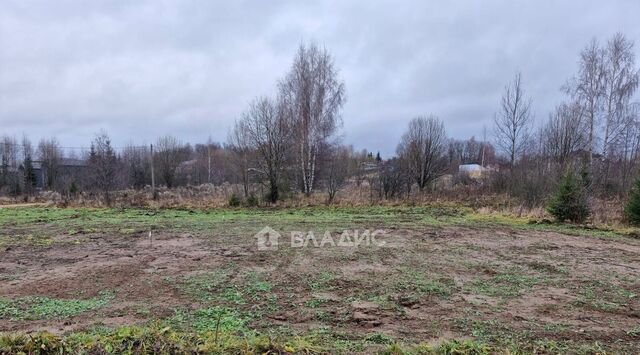 городской округ Дмитровский Икшинский Лес кп фото