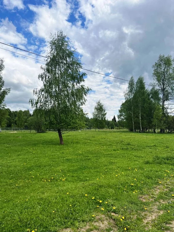 земля городской округ Солнечногорск д Мерзлово мерзлово, Ленинградское фото 4