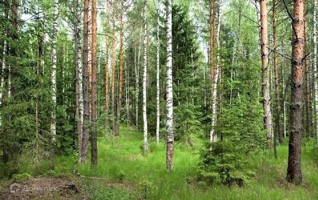 городской округ Верхнее Дуброво, посёлок городского типа Верхнее Дуброво фото