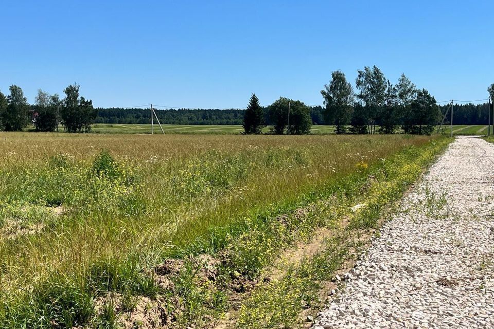 земля городской округ Богородский д. Боково фото 2