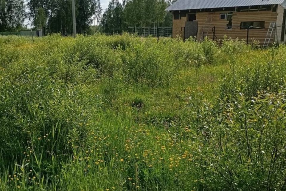 земля р-н Всеволожский фото 4