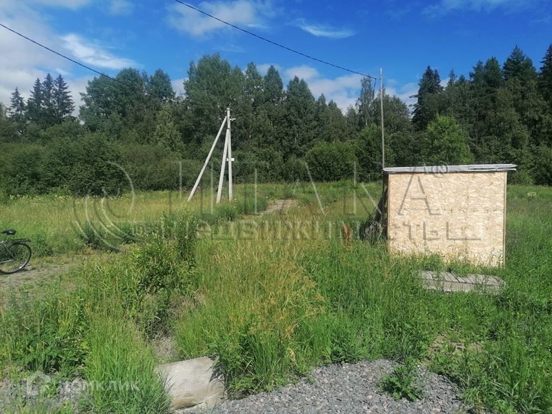 земля р-н Приозерский садоводческое товарищество Алмаз, 1-я линия фото 6