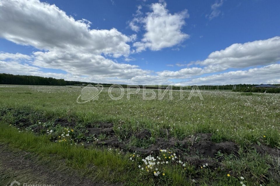 земля р-н Тюменский село Каменка фото 2