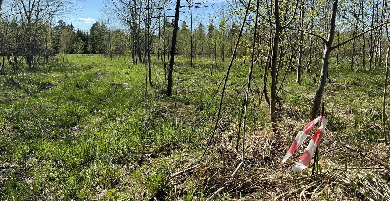 земля городской округ Волоколамский 77 км, коттеджный пос. Новая Рига, 38, Сычево, Новорижское шоссе фото 34