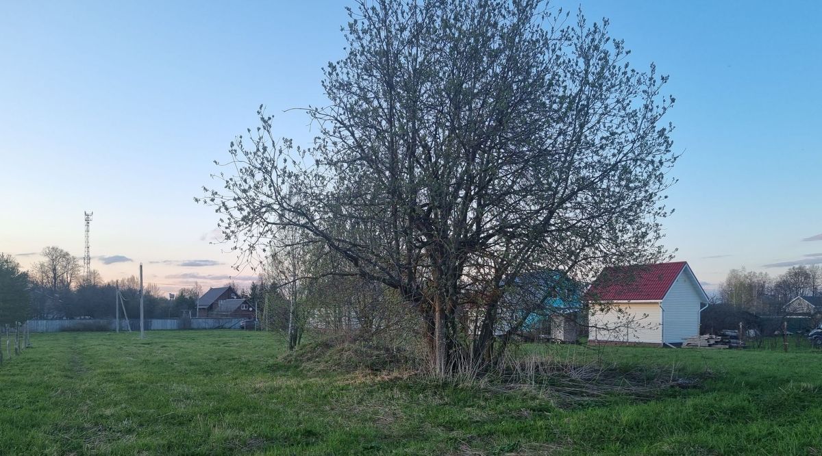 земля городской округ Рузский д Комлево фото 8