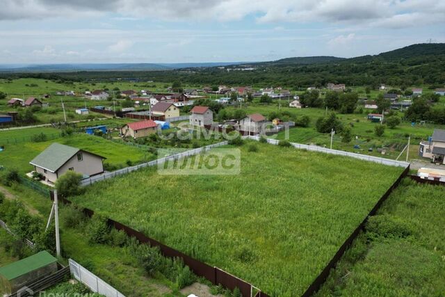 р-н Надеждинский Наследник фото