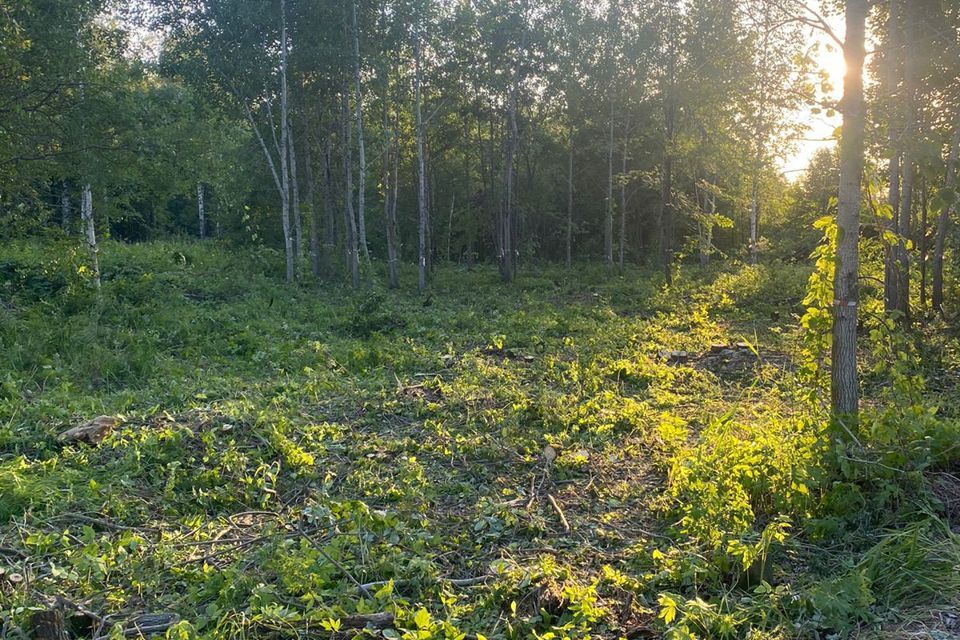 земля р-н Нижнетавдинский СТ Фортуна фото 1