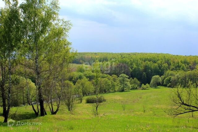 Сонино фото