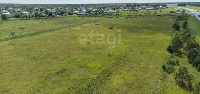 р-н Ярковский с Дубровное фото