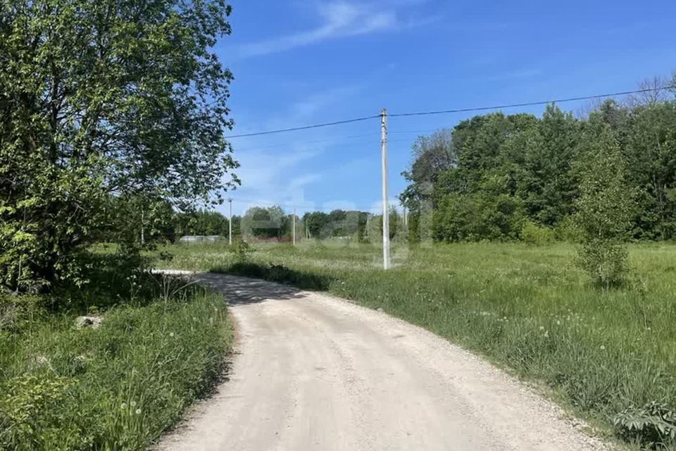 земля Тула городской округ, Зайцево фото 3