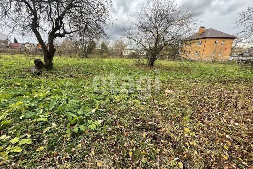 земля Тула городской округ, Медвенка фото 2