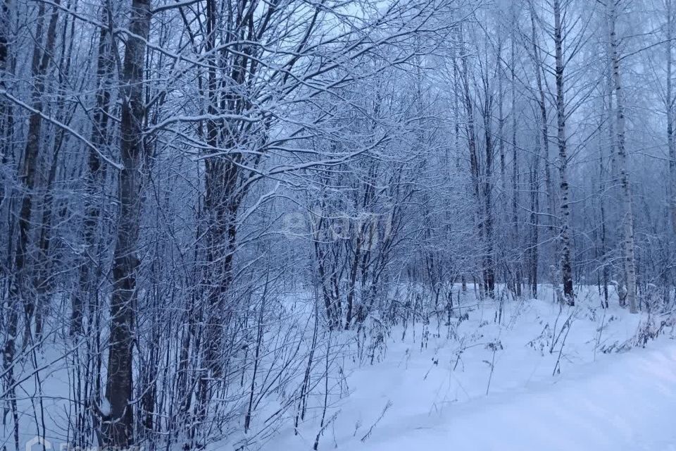 земля г Череповец Зашекснинский, городской округ Череповец фото 5