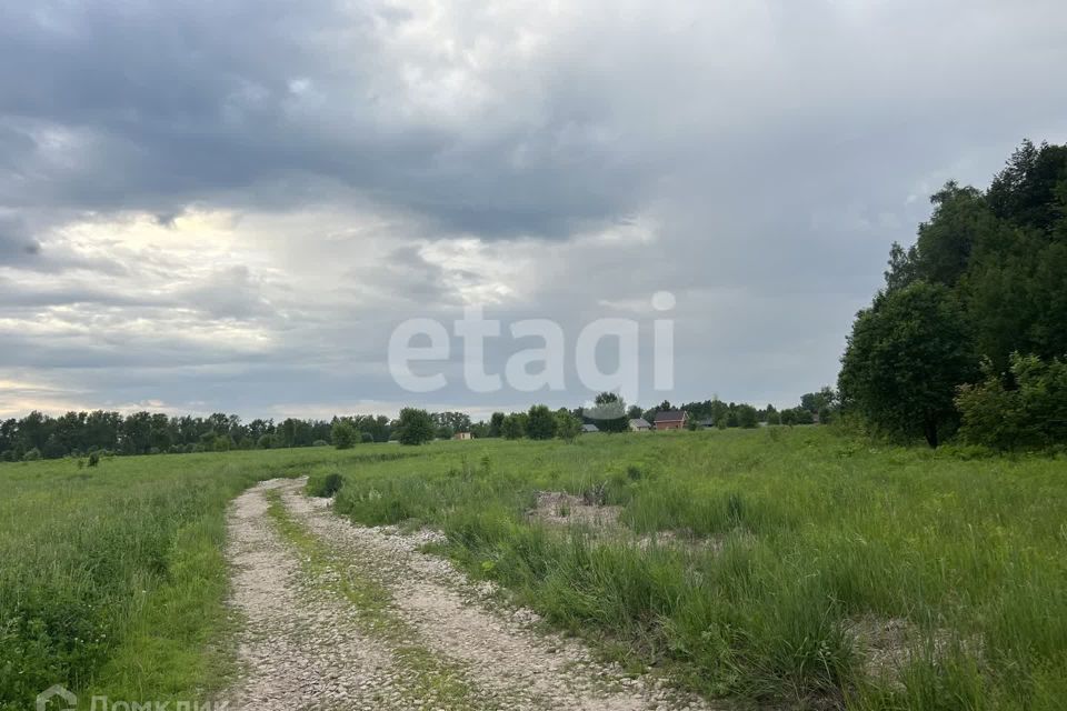 земля Тула городской округ, Привокзальный территориальный округ фото 9