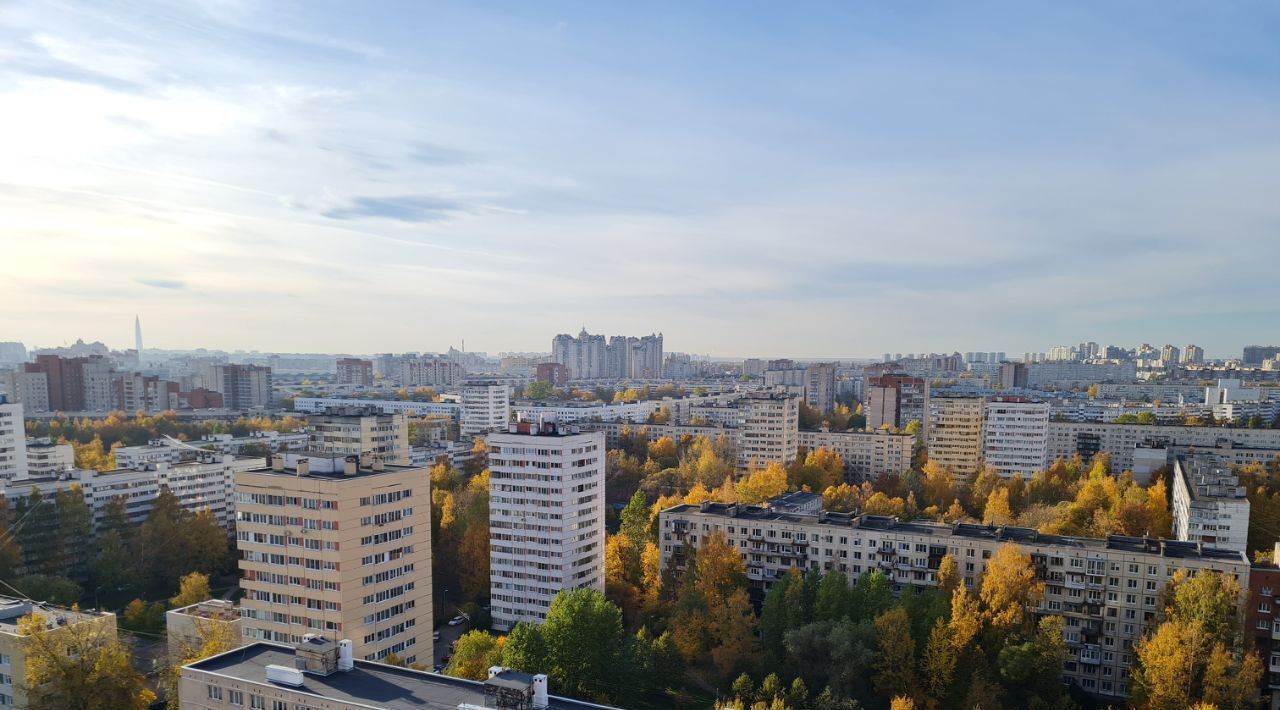 квартира г Санкт-Петербург метро Проспект Просвещения ул Кустодиева 5к/1 фото 14