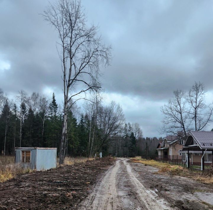 земля городской округ Пушкинский д Могильцы р-н мкр Пушкинский лес ВДНХ фото 15