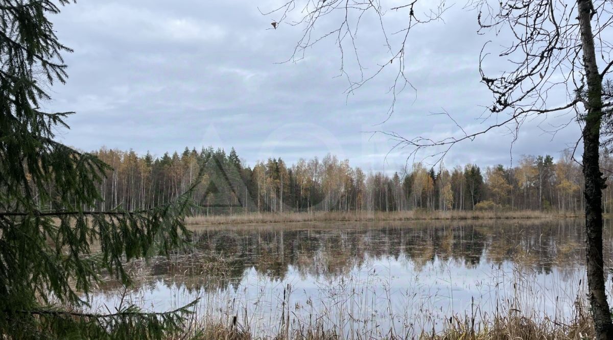 земля р-н Приозерский п Бригадное Приозерское городское поселение, Девяткино фото 7