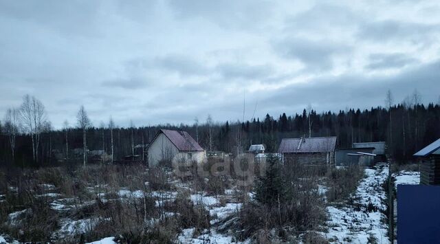 снт тер ЧовскоеЧовские зори Човское тер., 327 фото