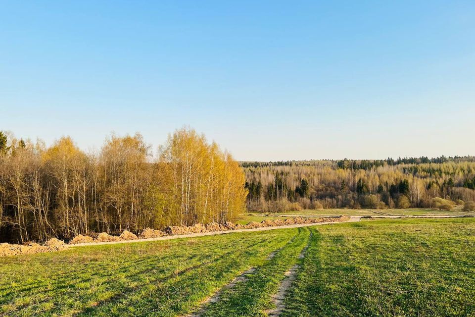 земля городской округ Раменский д. Васильево фото 8