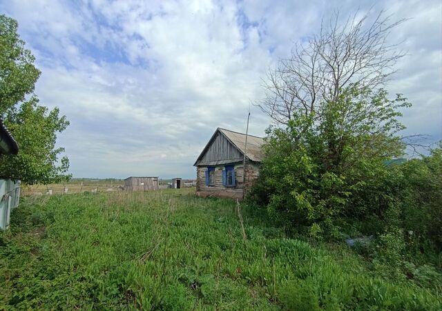 д Даниловка ул Речная Корнеевский сельсовет, Салават фото