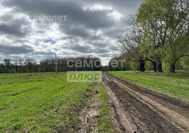 Балтийский сельсовет, Иглино фото