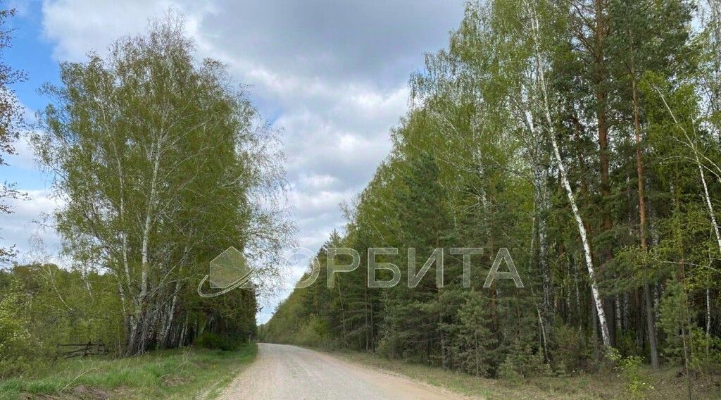 земля г Тюмень р-н Ленинский Мыс ул Ушакова фото 13