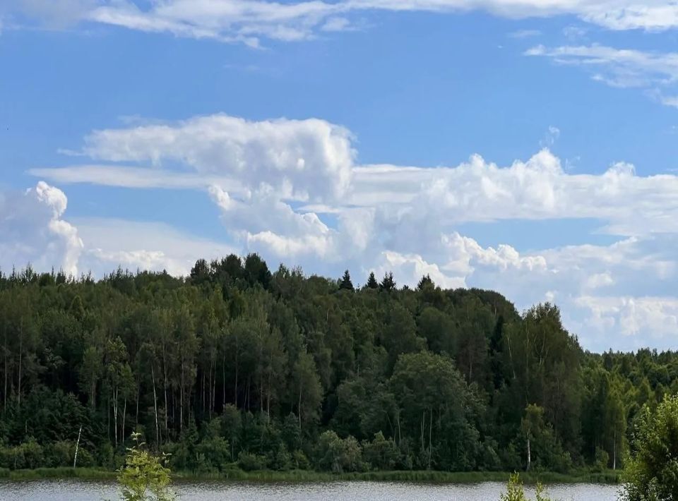 земля городской округ Волоколамский д Власьево фото 2