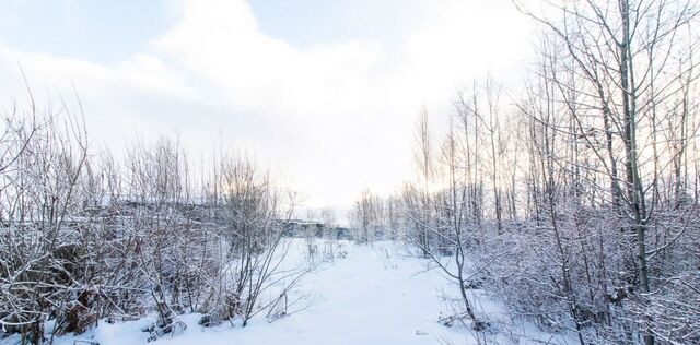 снт Геолог СОТ, ул. Лунная фото