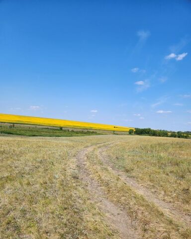 р-н Красноармейский д Сытовка сельское поселение Кировский, Красноармейское фото