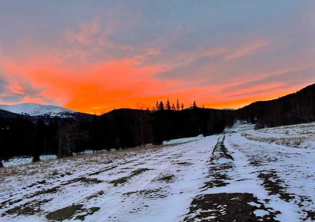 земля с Шебалино ул Школьная Горно-Алтайск фото