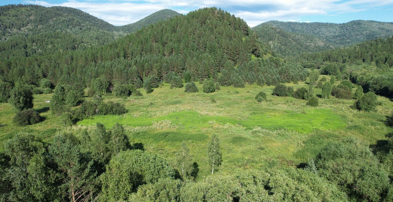 земля р-н Чойский с Кара-Торбок Горно-Алтайск фото 4