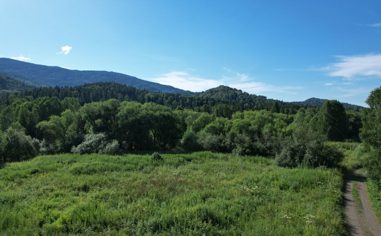 земля р-н Чойский с Кара-Торбок Горно-Алтайск фото 40