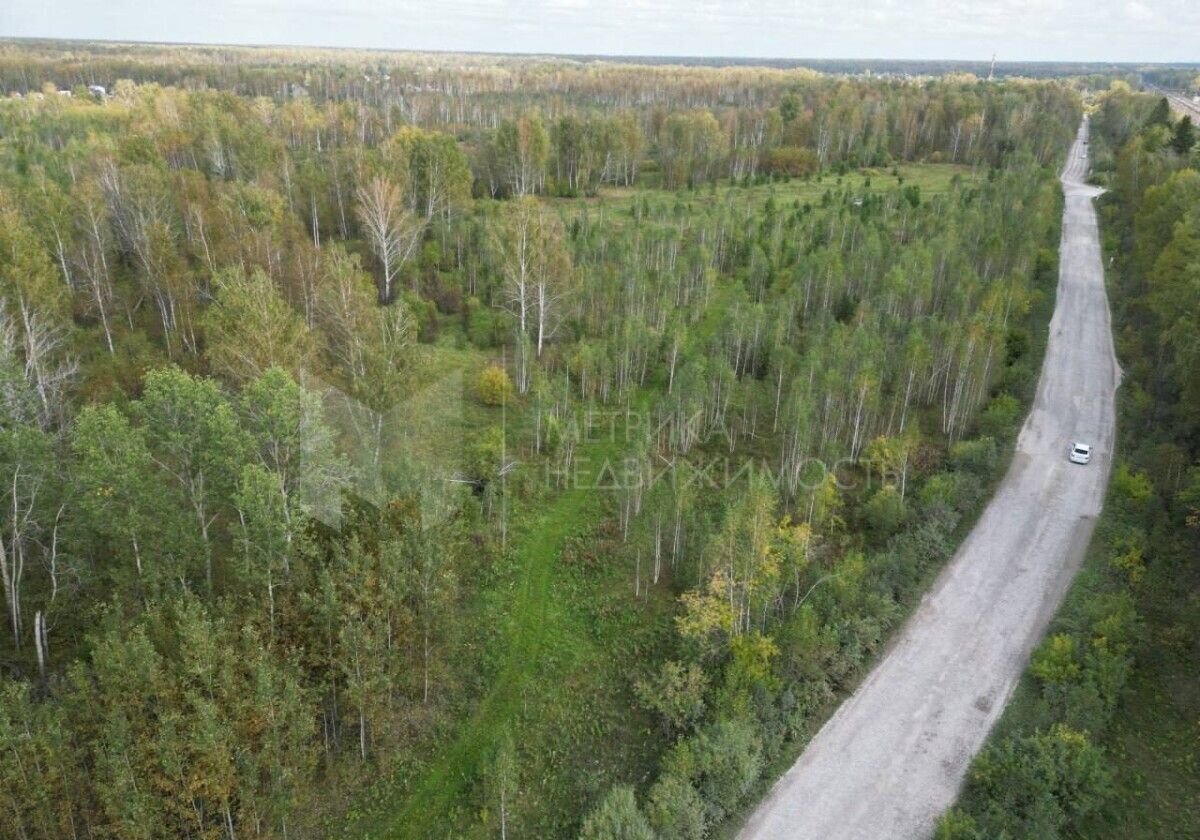 земля р-н Тюменский снт Подъем Тюмень фото 2