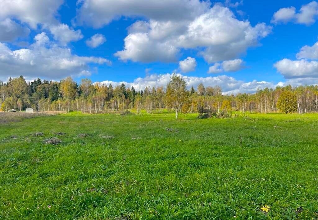 земля городской округ Наро-Фоминский д Настасьино 62 км, Наро-Фоминск, Киевское шоссе фото 11