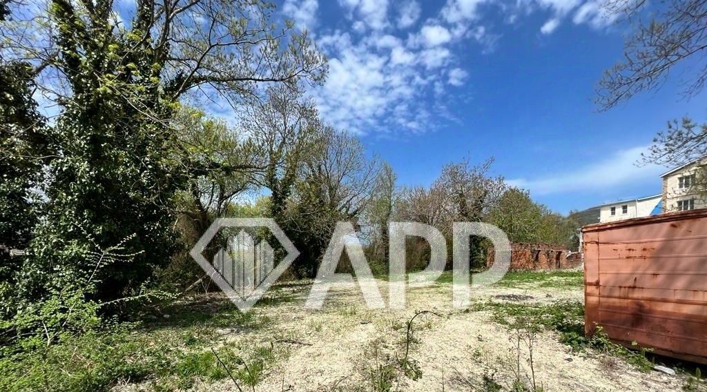 офис г Геленджик Куприянова Щель ул. Ореховая фото 4