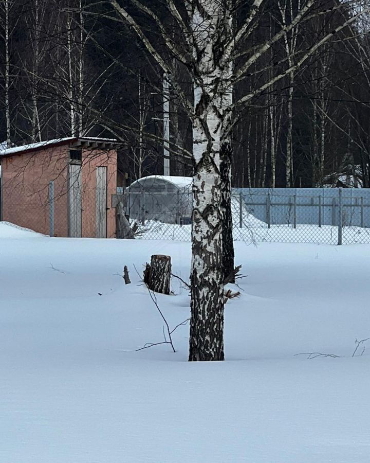 земля городской округ Ступино д Рудины 42 км, Ильинское, Новокаширское шоссе фото 8