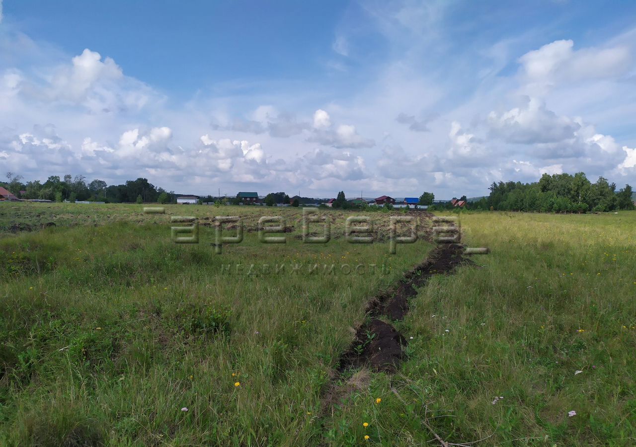 земля р-н Березовский д Ермолаево Есаульский сельсовет, Красноярск фото 8