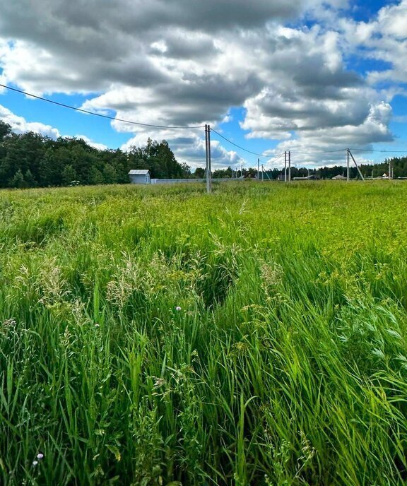 земля городской округ Наро-Фоминский д Плесенское фото 6