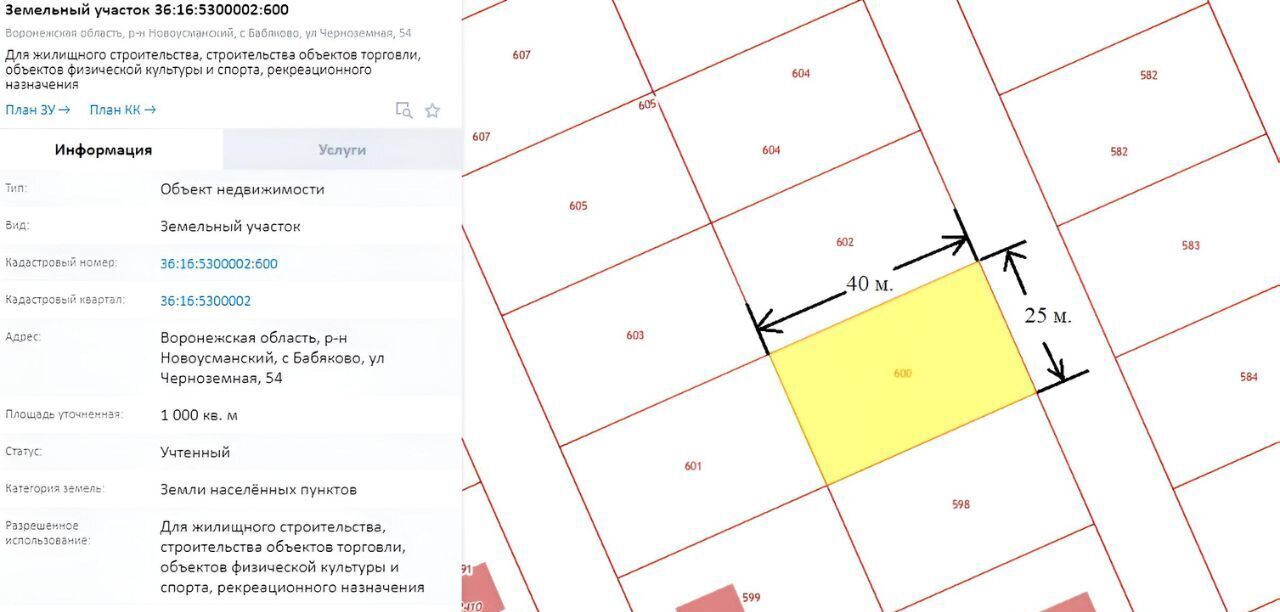 дом р-н Новоусманский с Бабяково ул Черноземная фото 5