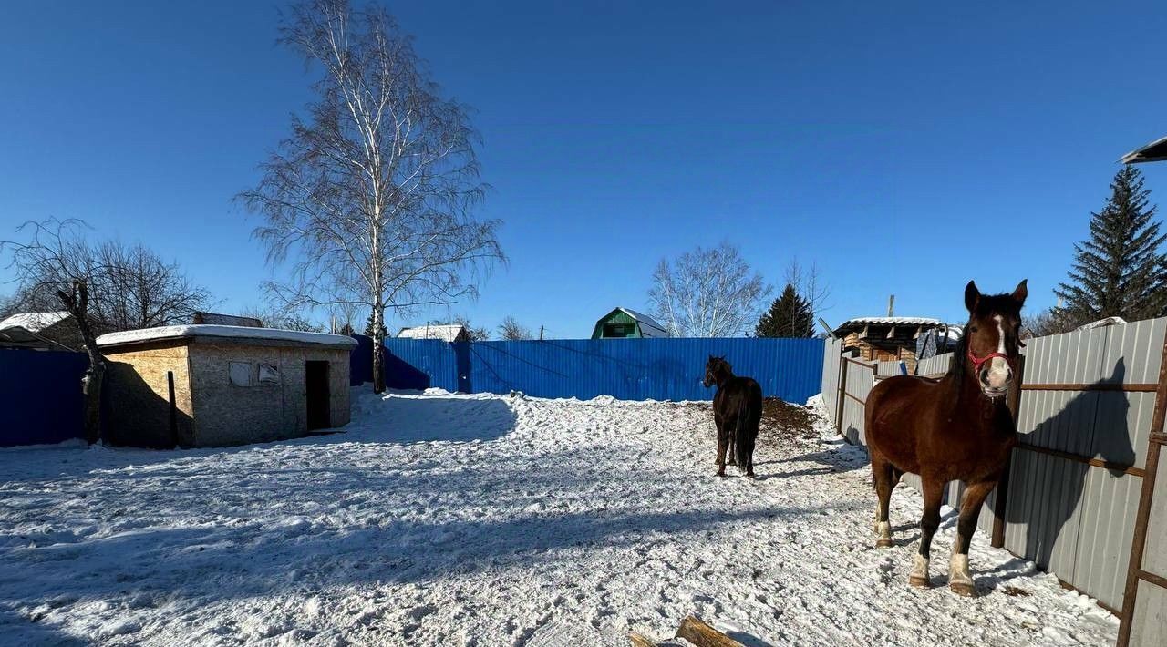дом г Омск р-н Центральный СОСН Мечта тер., 56 фото 39