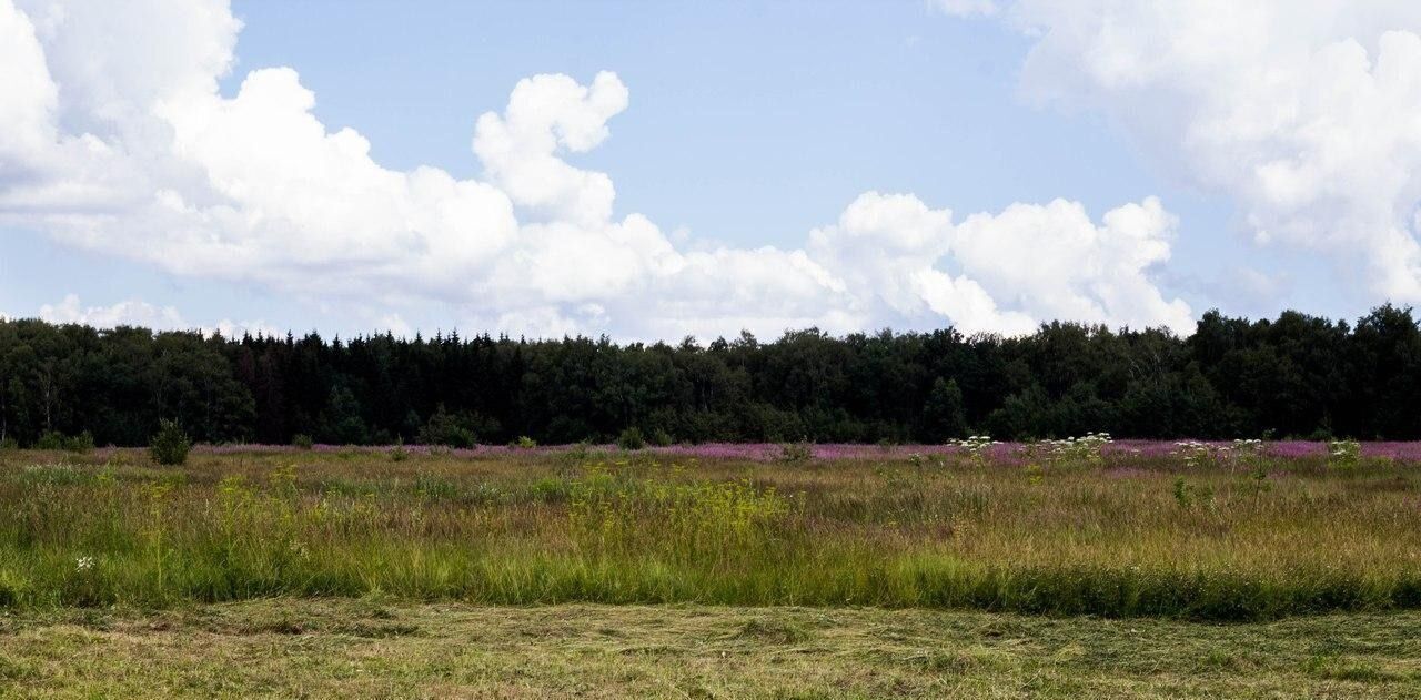 земля р-н Палкинский д Запятково волость, Черская фото 1