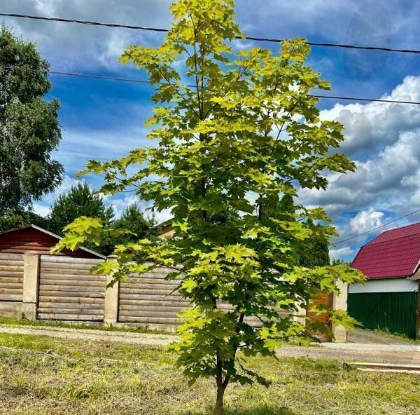 дом городской округ Солнечногорск д Рыгино снт терВалдай 58 фото 26