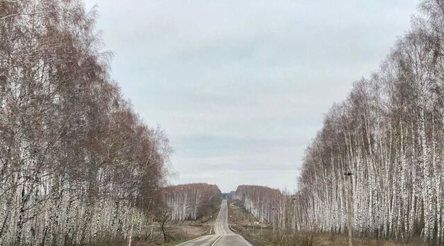 земля с Мочилы ул Школьная 13 Тульская область, Первомайский фото