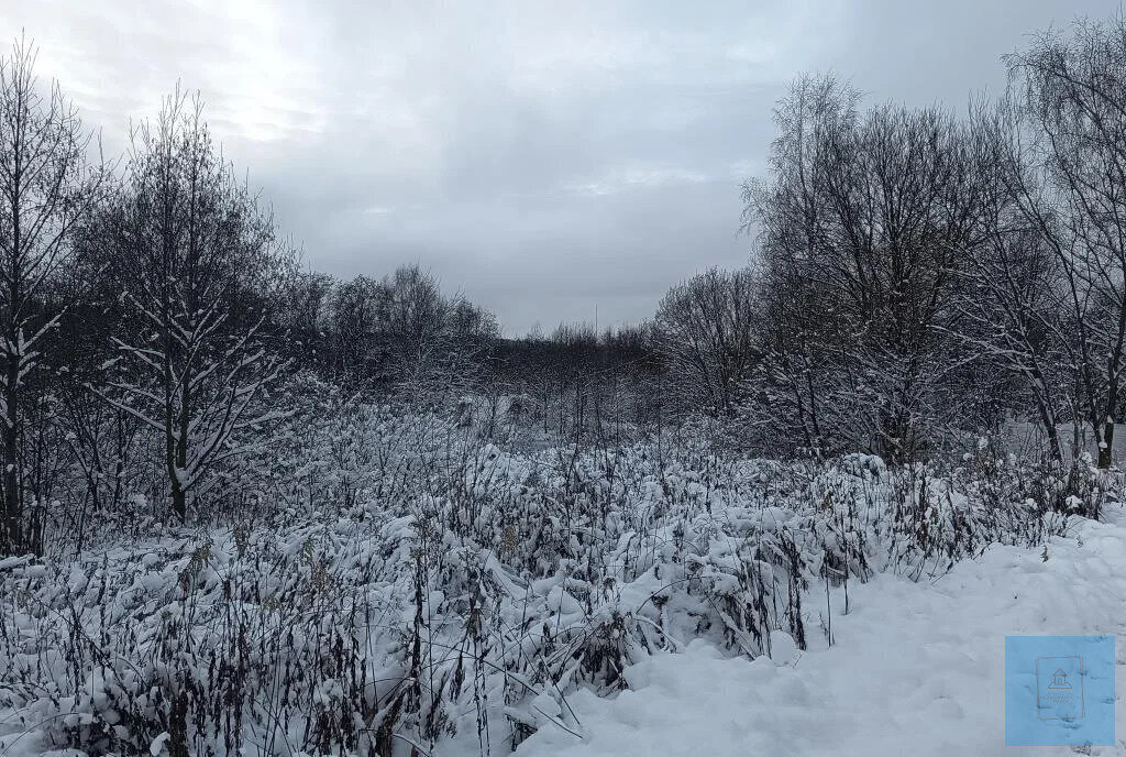 земля городской округ Солнечногорск д Гигирёво Зеленоград — Крюково фото 5